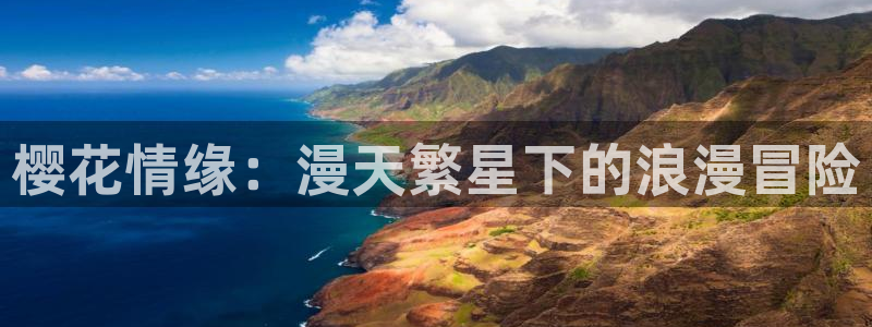 囧次元 官网：樱花情缘：漫天繁星下的浪漫冒险